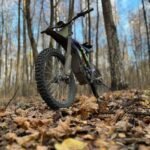 2025 Surron Light Bee X photo review